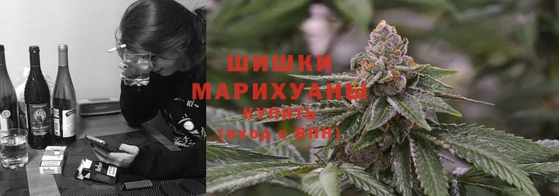 Бошки марихуана THC 21%  как найти   Коломна 